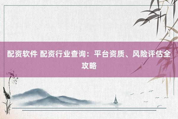 配资软件 配资行业查询：平台资质、风险评估全攻略