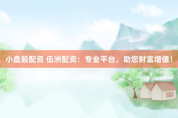 小盘股配资 伍洲配资：专业平台，助您财富增值！
