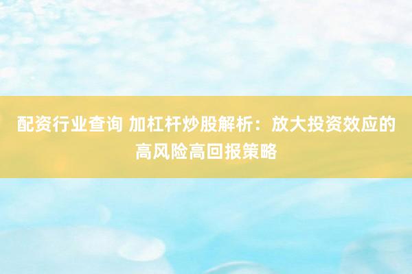 配资行业查询 加杠杆炒股解析：放大投资效应的高风险高回报策略
