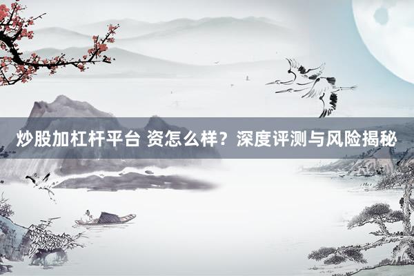 炒股加杠杆平台 资怎么样？深度评测与风险揭秘