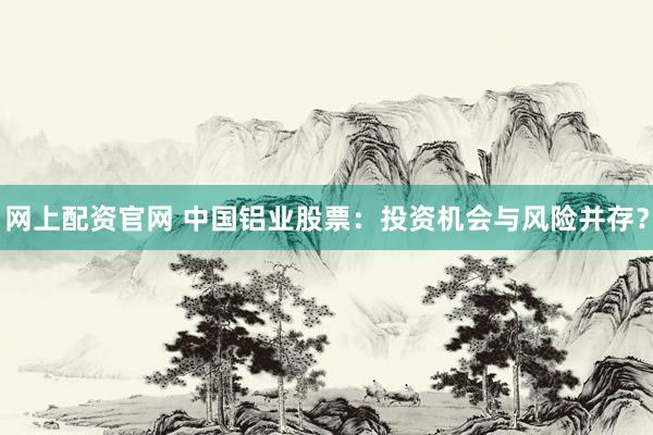 网上配资官网 中国铝业股票：投资机会与风险并存？