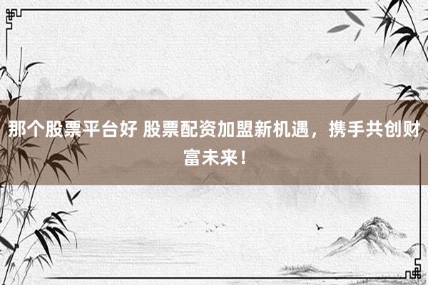 那个股票平台好 股票配资加盟新机遇，携手共创财富未来！