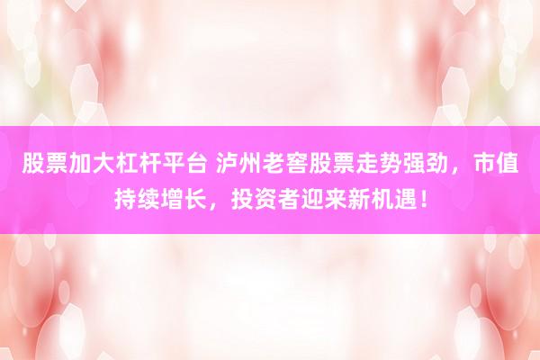 股票加大杠杆平台 泸州老窖股票走势强劲，市值持续增长，投资者迎来新机遇！