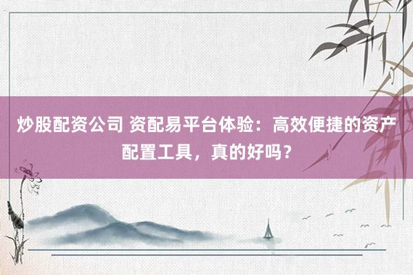 炒股配资公司 资配易平台体验：高效便捷的资产配置工具，真的好吗？