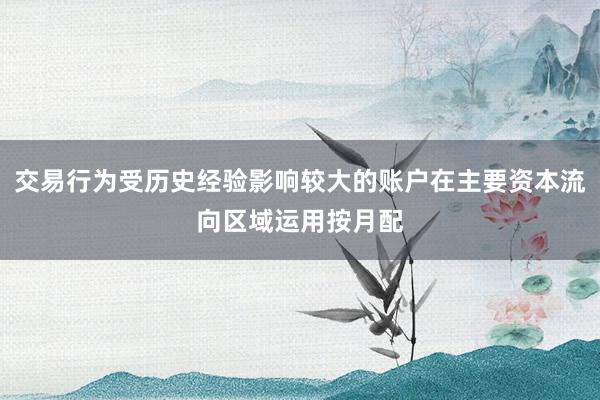 交易行为受历史经验影响较大的账户在主要资本流向区域运用按月配