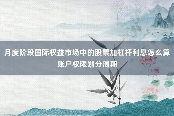 月度阶段国际权益市场中的股票加杠杆利息怎么算账户权限划分周期