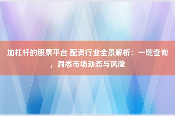 加杠杆的股票平台 配资行业全景解析：一键查询，洞悉市场动态与风险