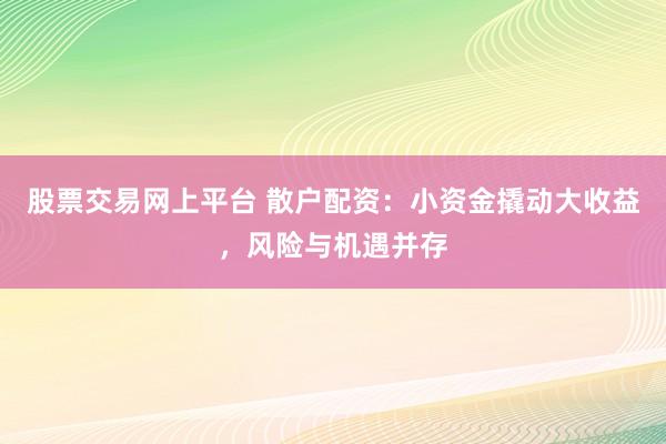 股票交易网上平台 散户配资：小资金撬动大收益，风险与机遇并存