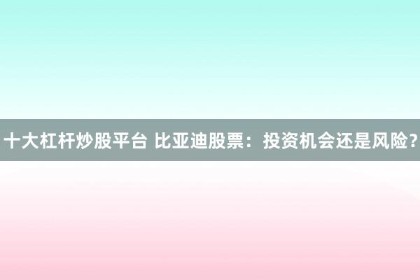 十大杠杆炒股平台 比亚迪股票:投资机会还是风险?