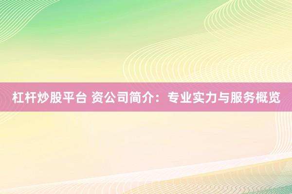杠杆炒股平台 资公司简介：专业实力与服务概览